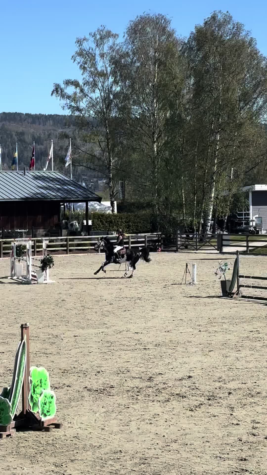 @Noemy🇳🇴🇳🇴