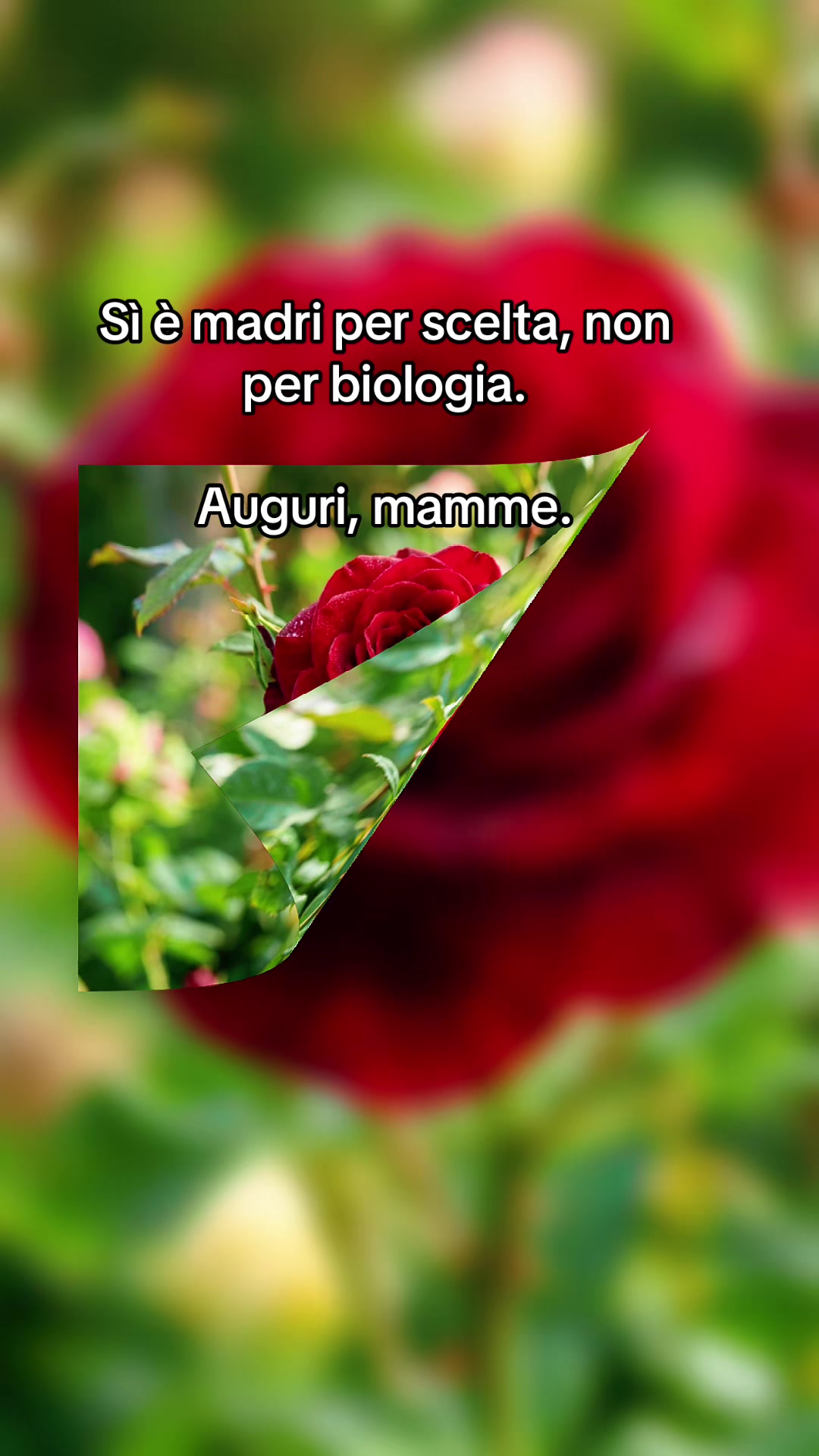@Pina Varriale