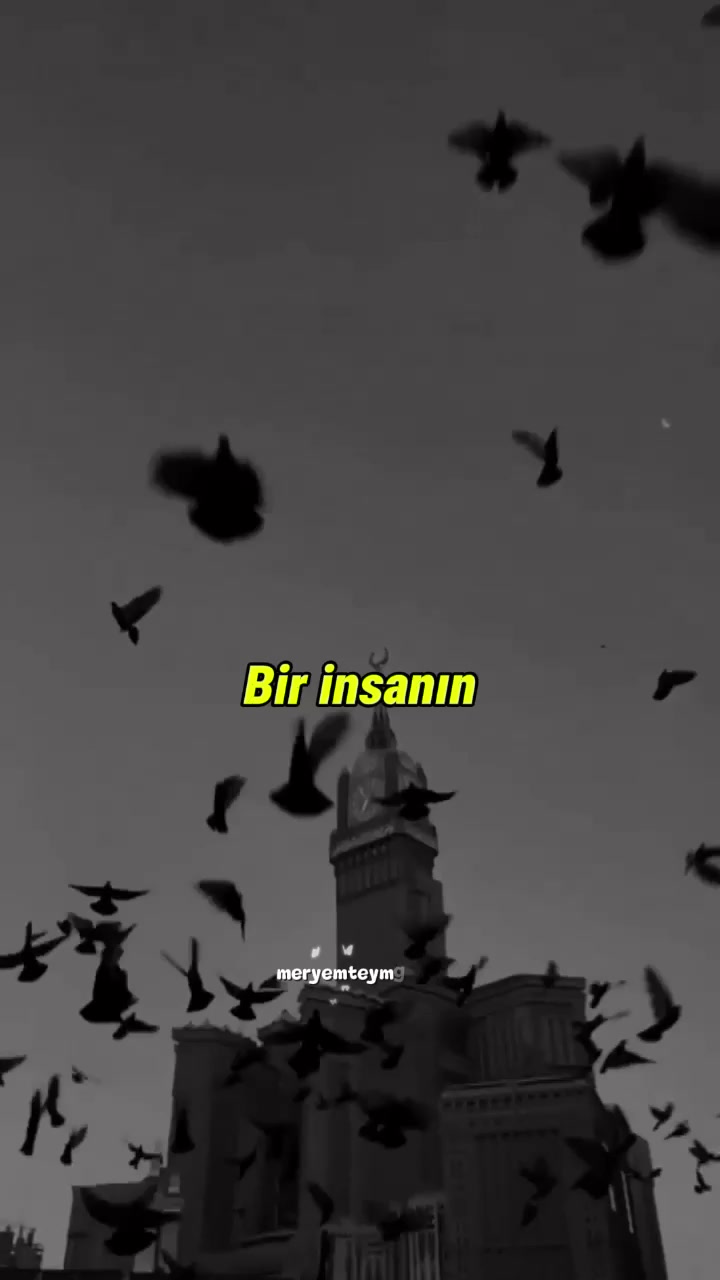 @Meryemteymurluk7