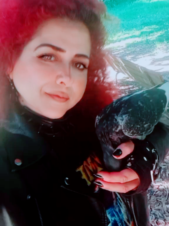 @Laleh Rashtian
