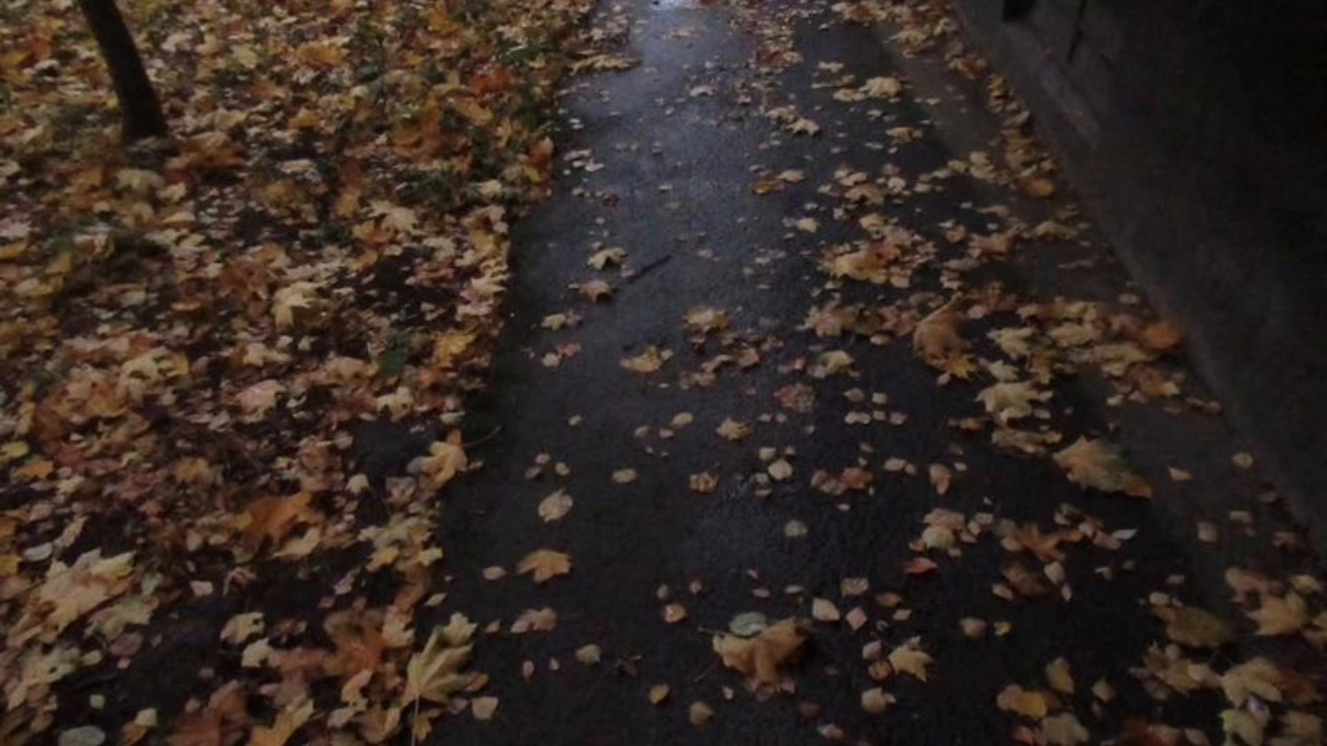 @˚˖𓍢ִ໋🦢˚