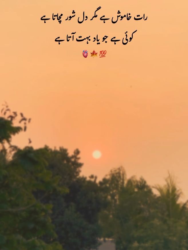 @𓆩PeaceWithin islam𓆪