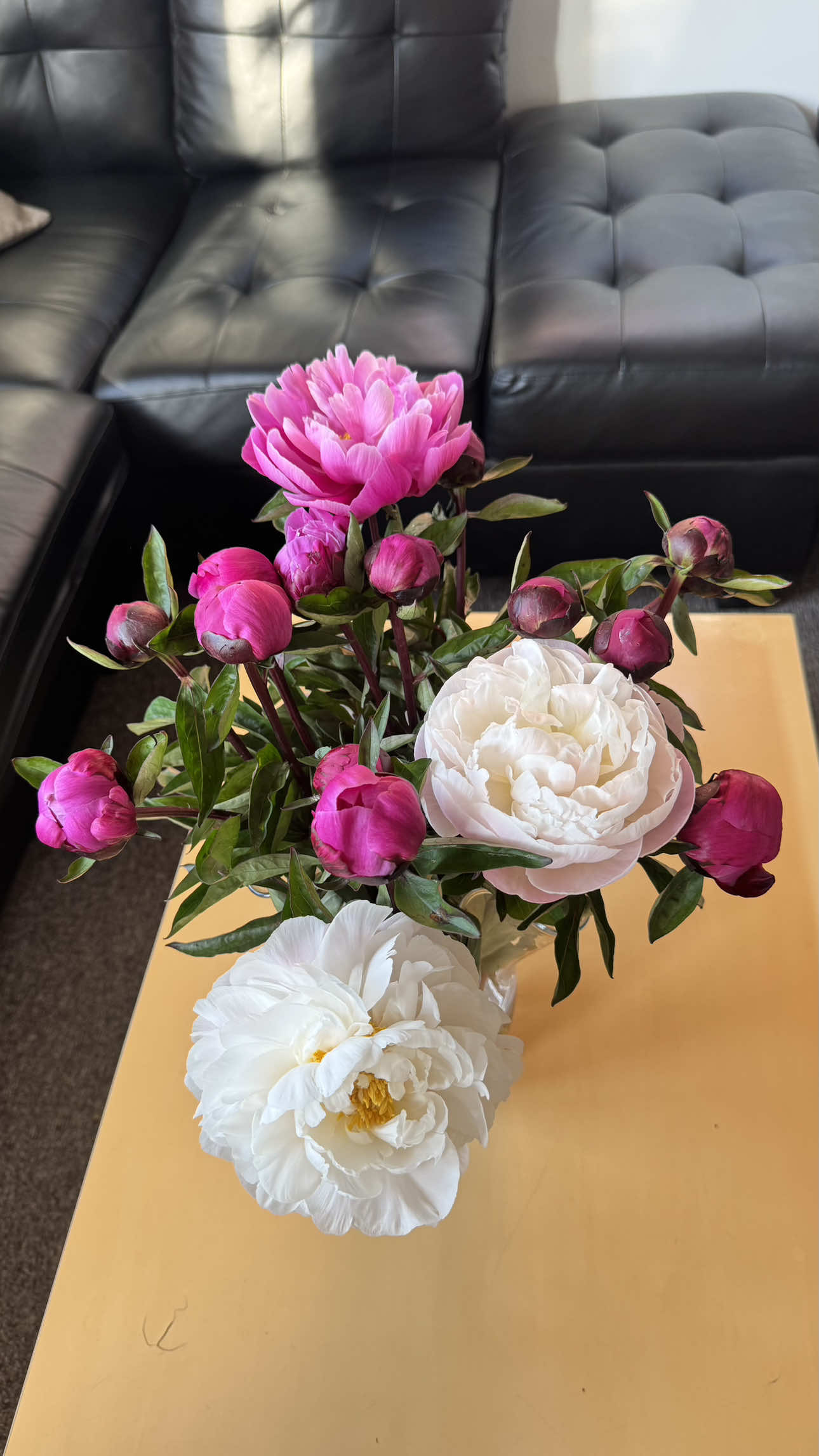 @Gulzhan 🌸