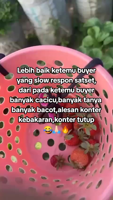 @Ucey Store