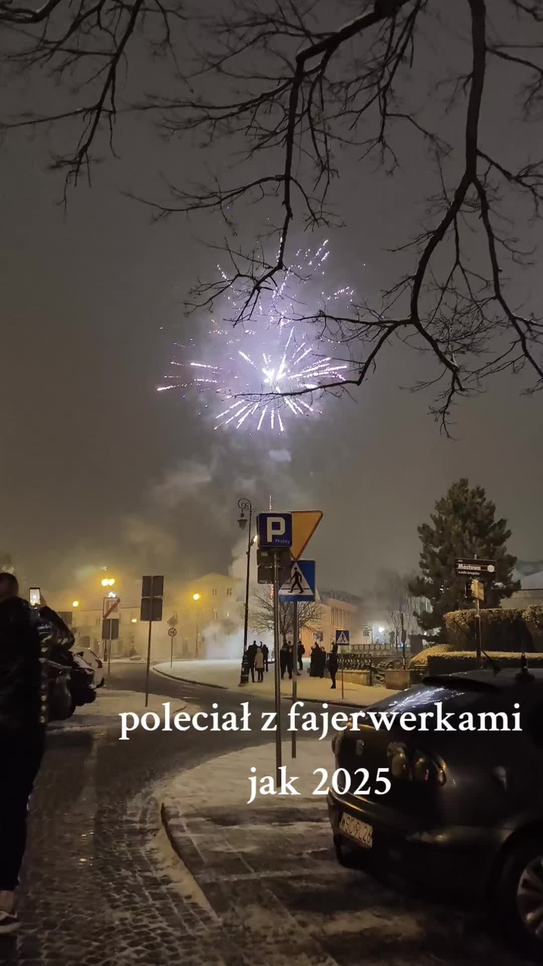 @💜🕷️stalkerka_plocka🕷️💜