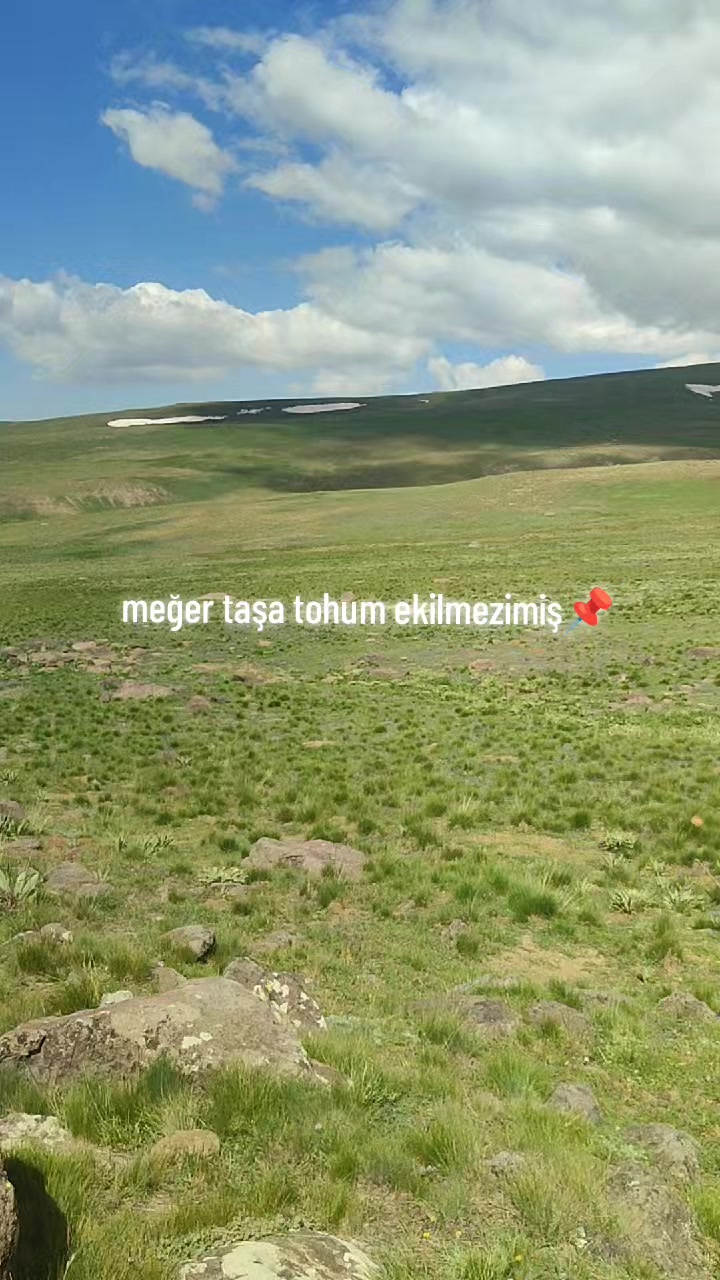@fecriÇ