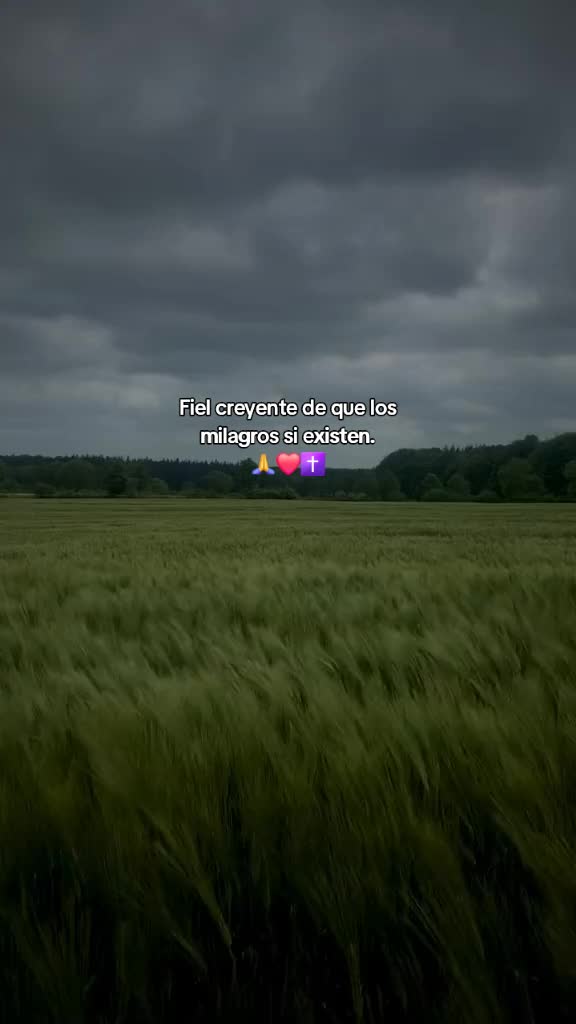 @ever502.1
