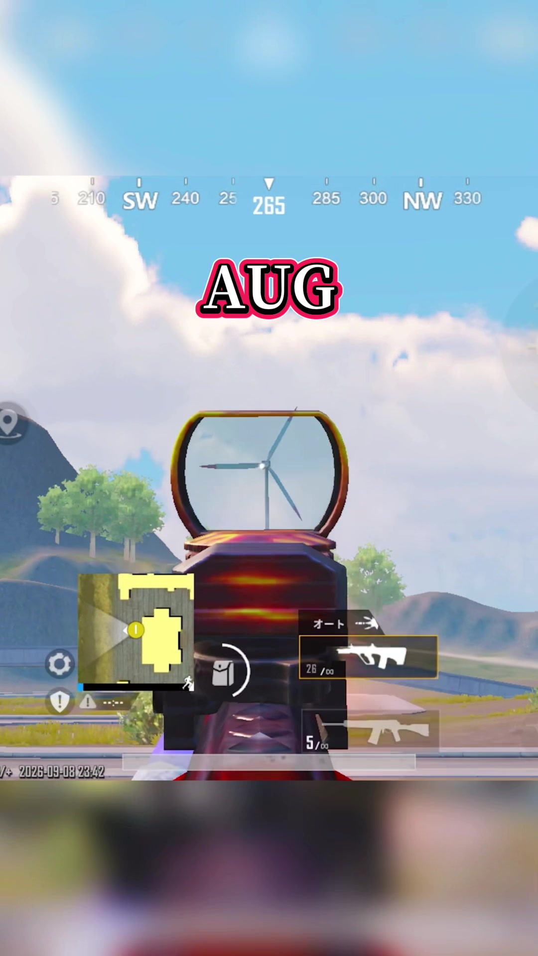 @IroHani_pubgm🇯🇵