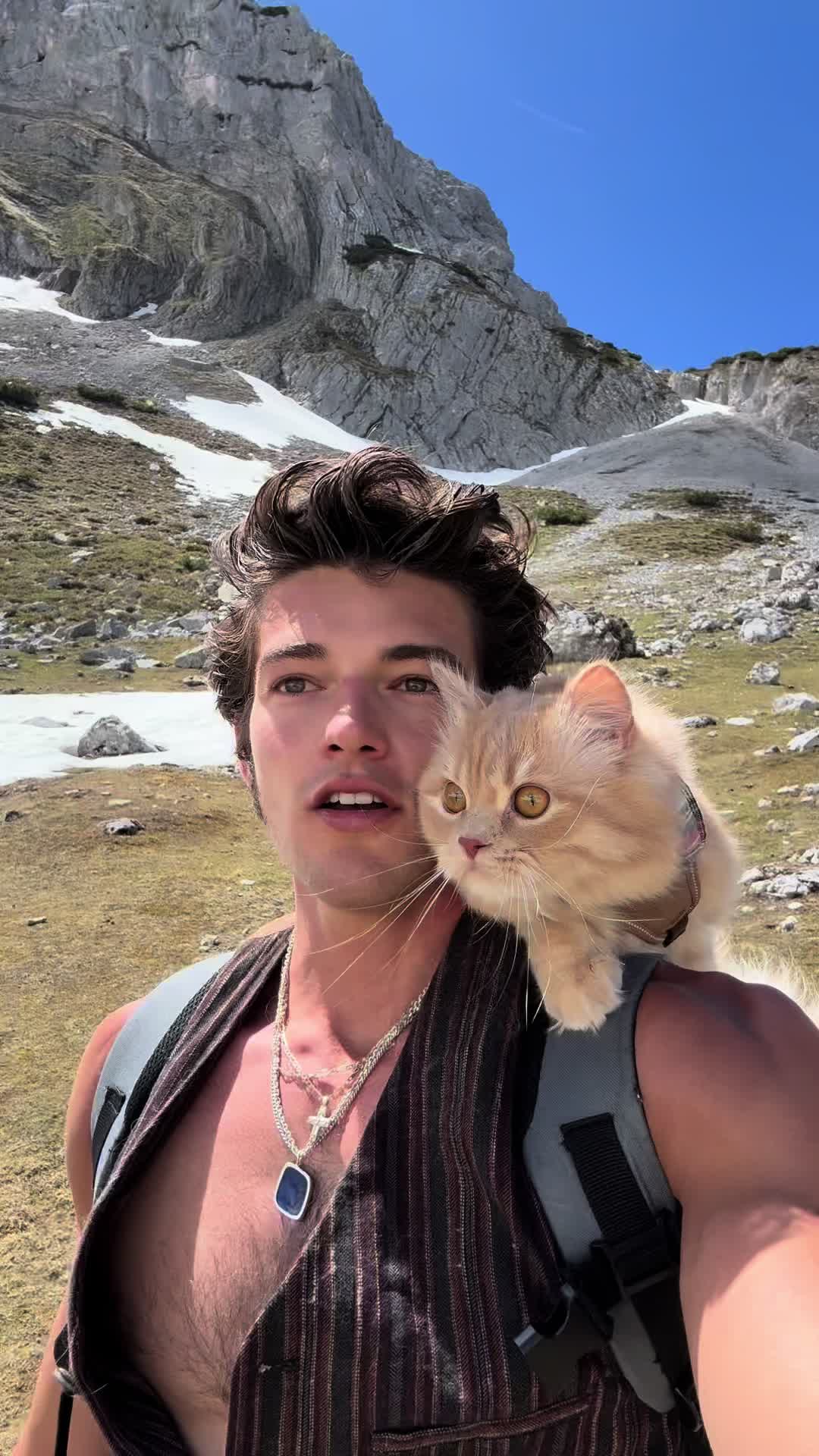 @peter_mai_