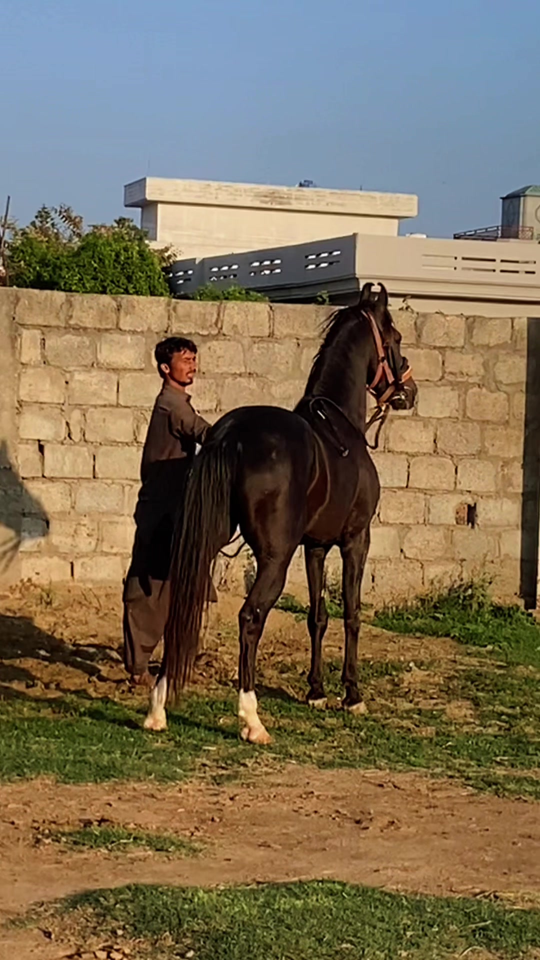 @Hayat Raza