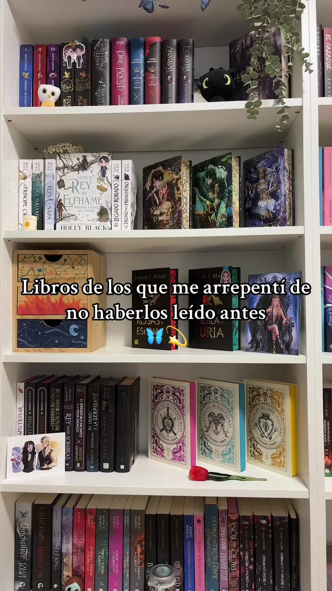 @Thedarkmoonbooks🌙✨