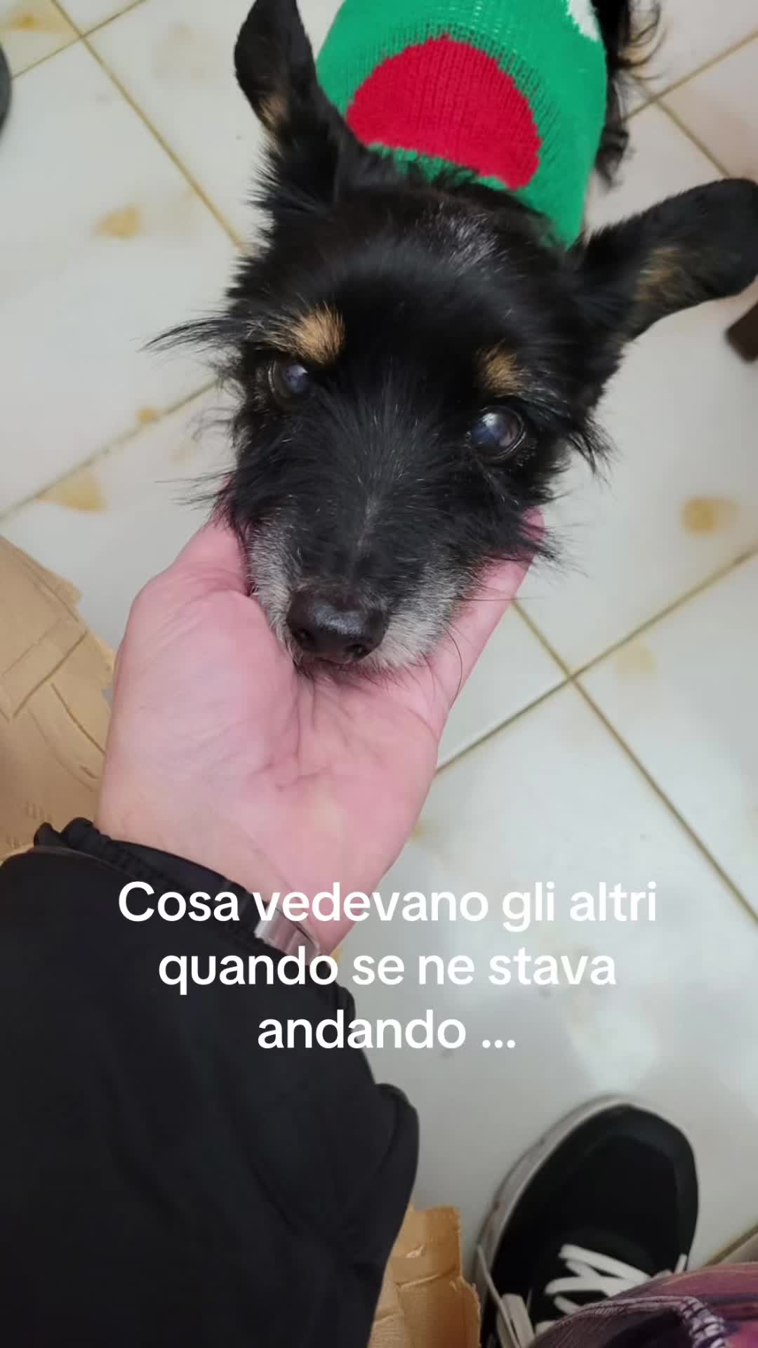 @Angelica