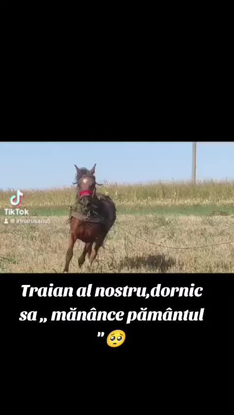 @Irina rusanu