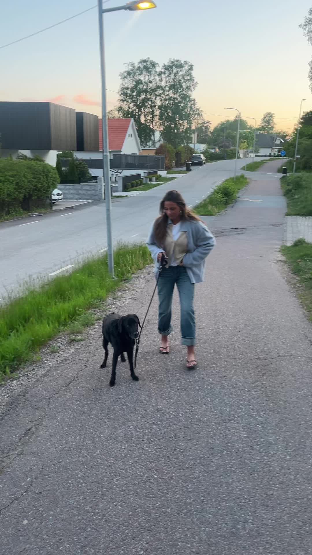 @elviraaspgren1