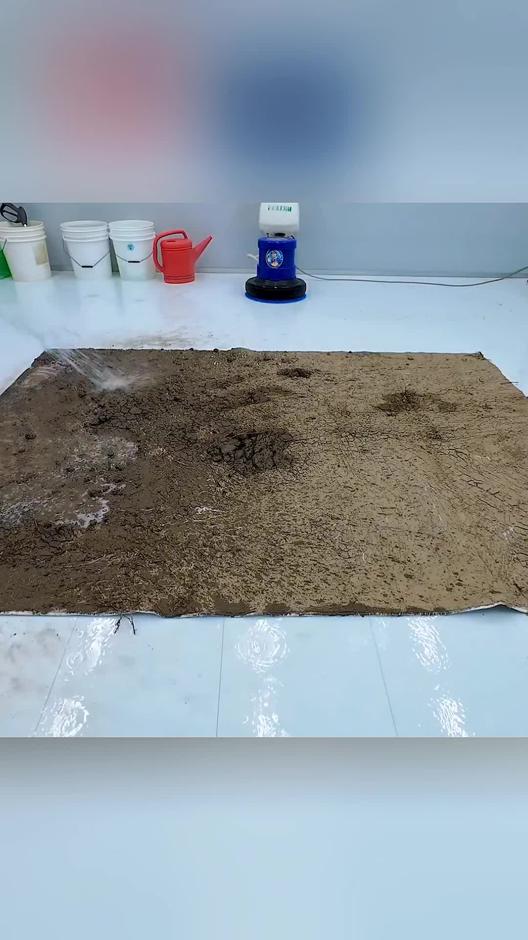 @Rug Restore