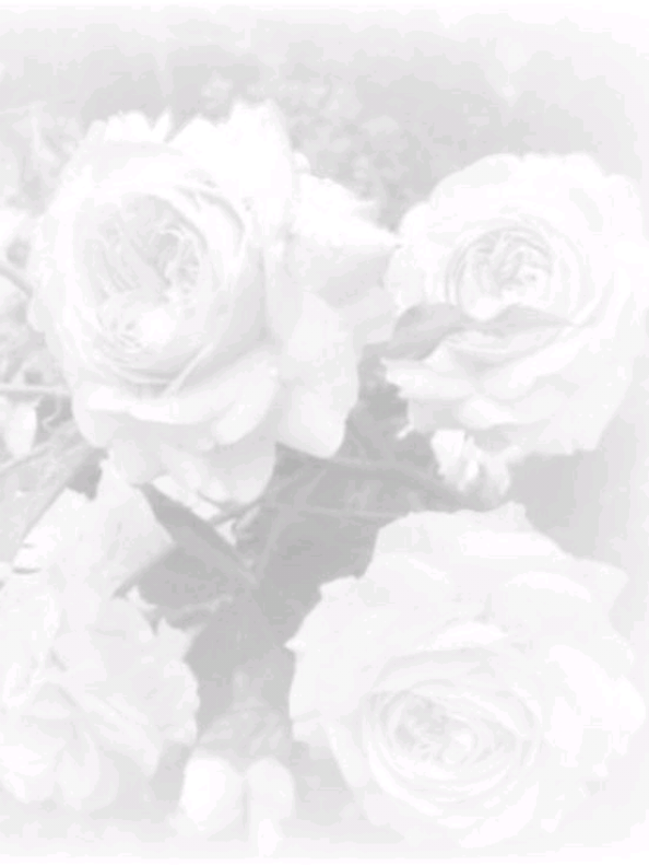 @🎂 𝑎lix ⌗ ﹐ ୨ৎ