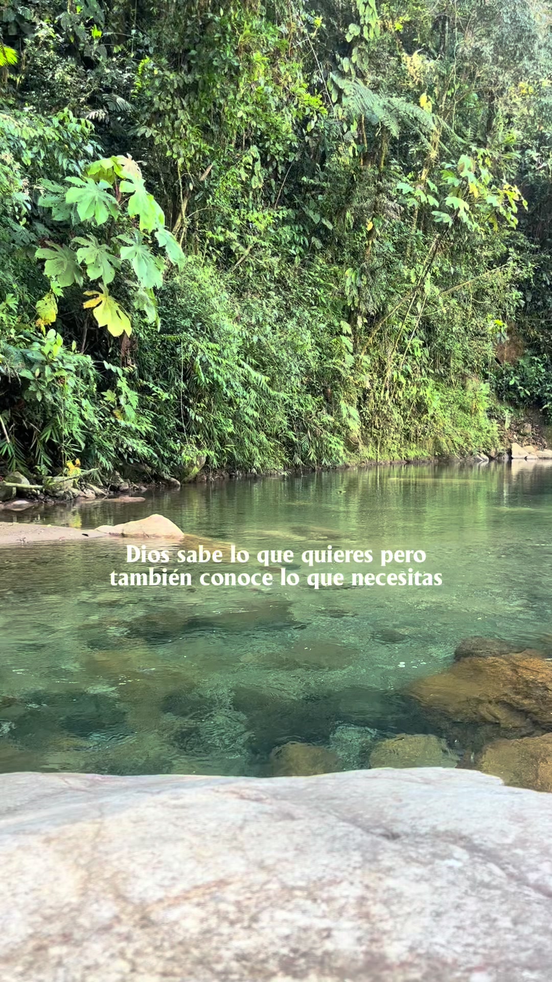 @pao.flores570