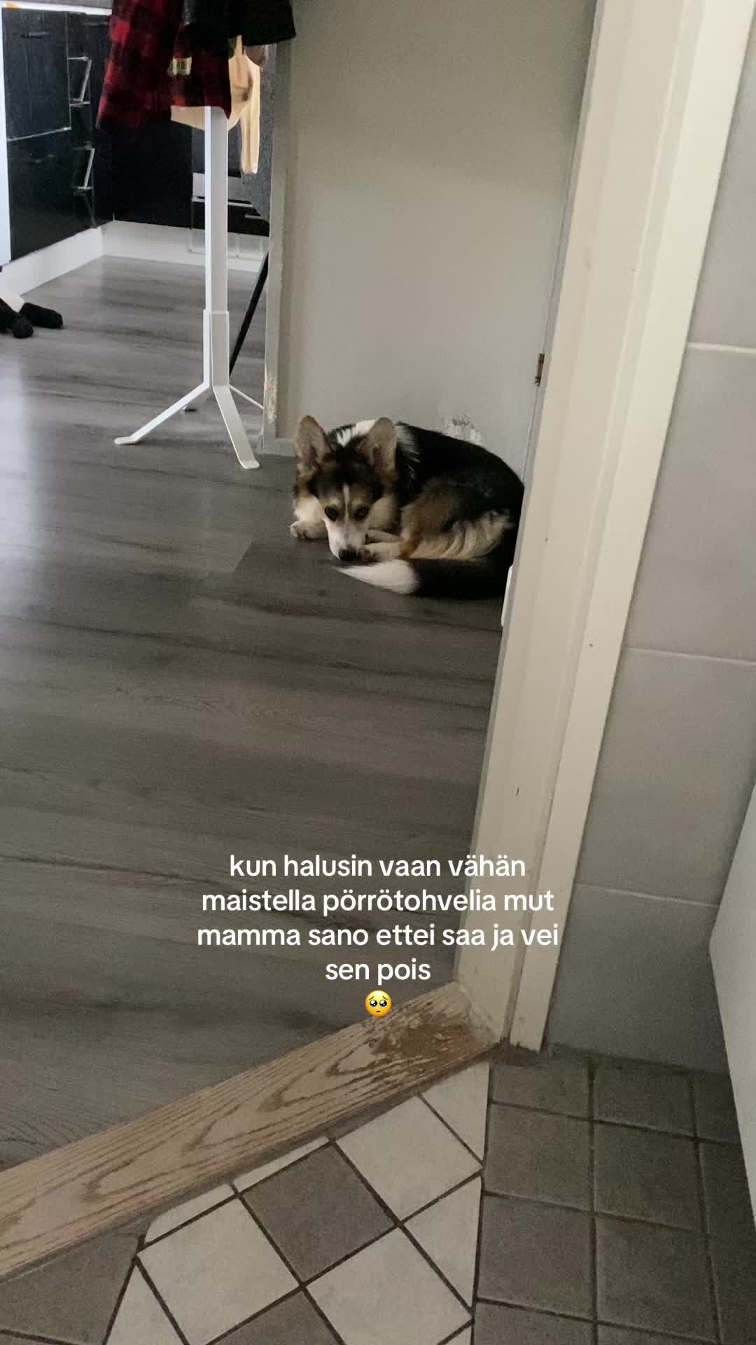 @millajohanna