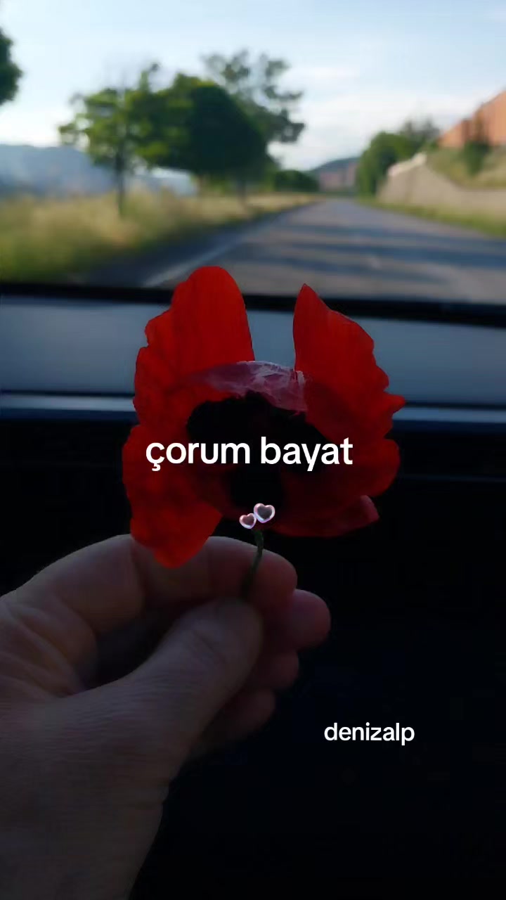 @06 ❤️denizalp❤️19