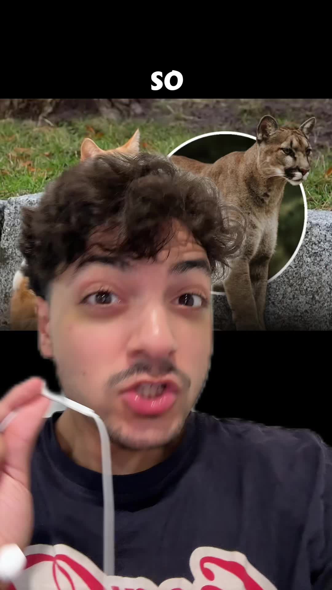 @Sbladn