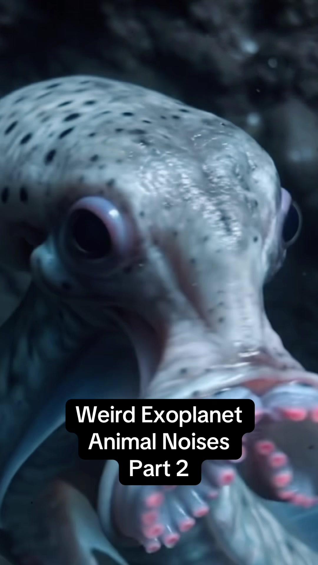 @ExoplanetWildlife