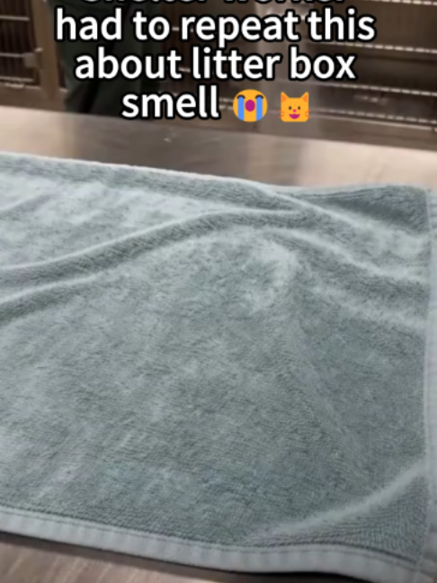 @mustcop6
