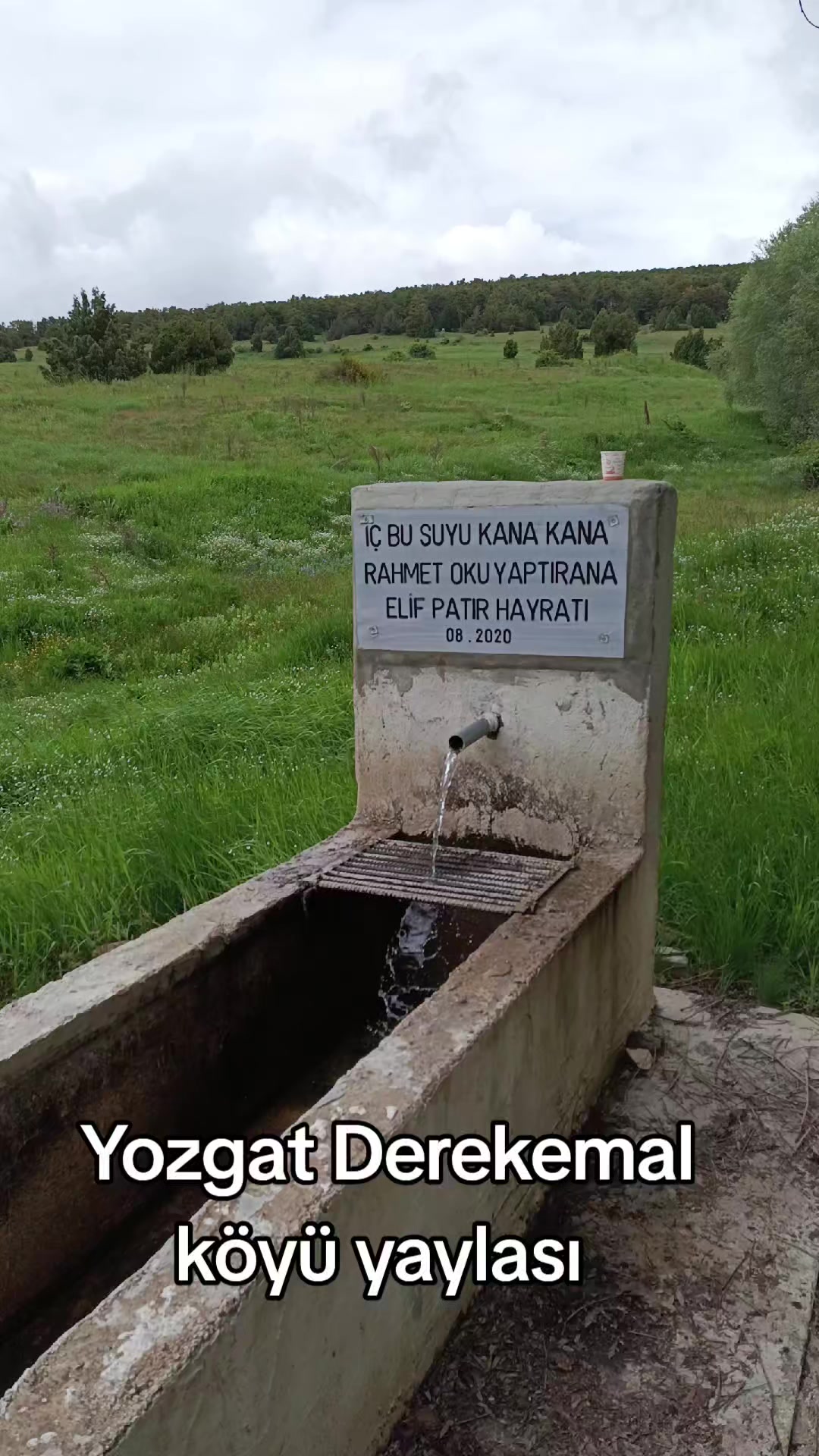 @yılmaz Çetinkaya