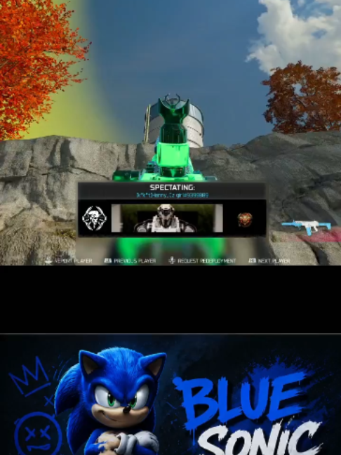 @🎮BlueSonic🎮