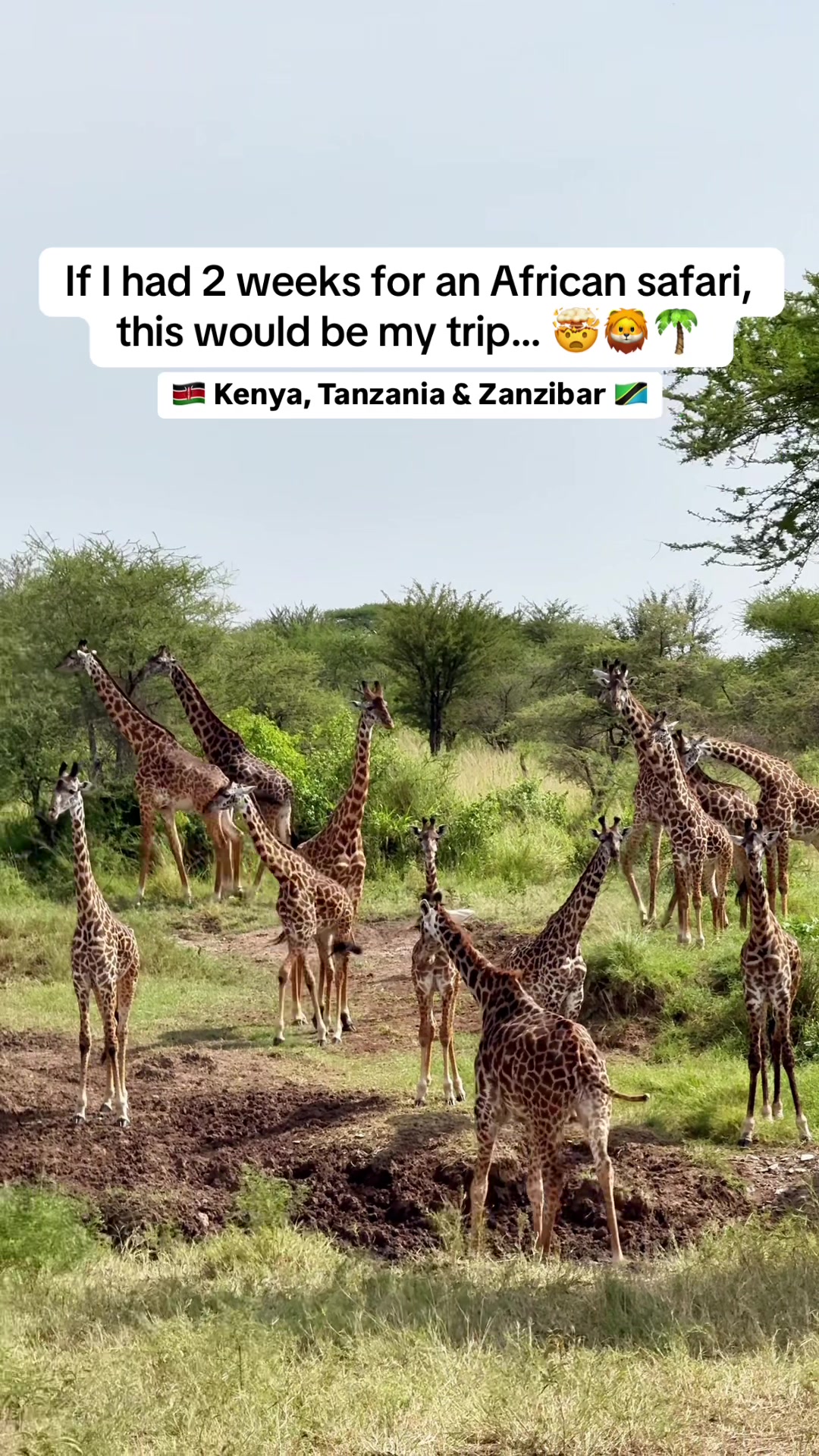 @Mr & Mrs D Adventures