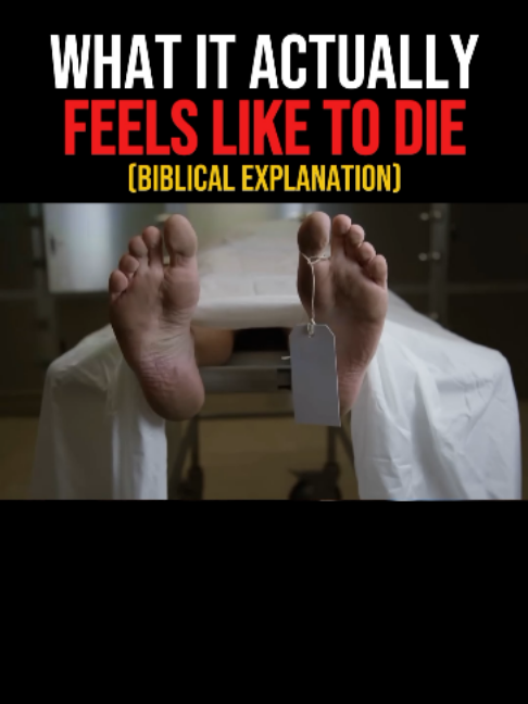 @Daily Faith Ministry