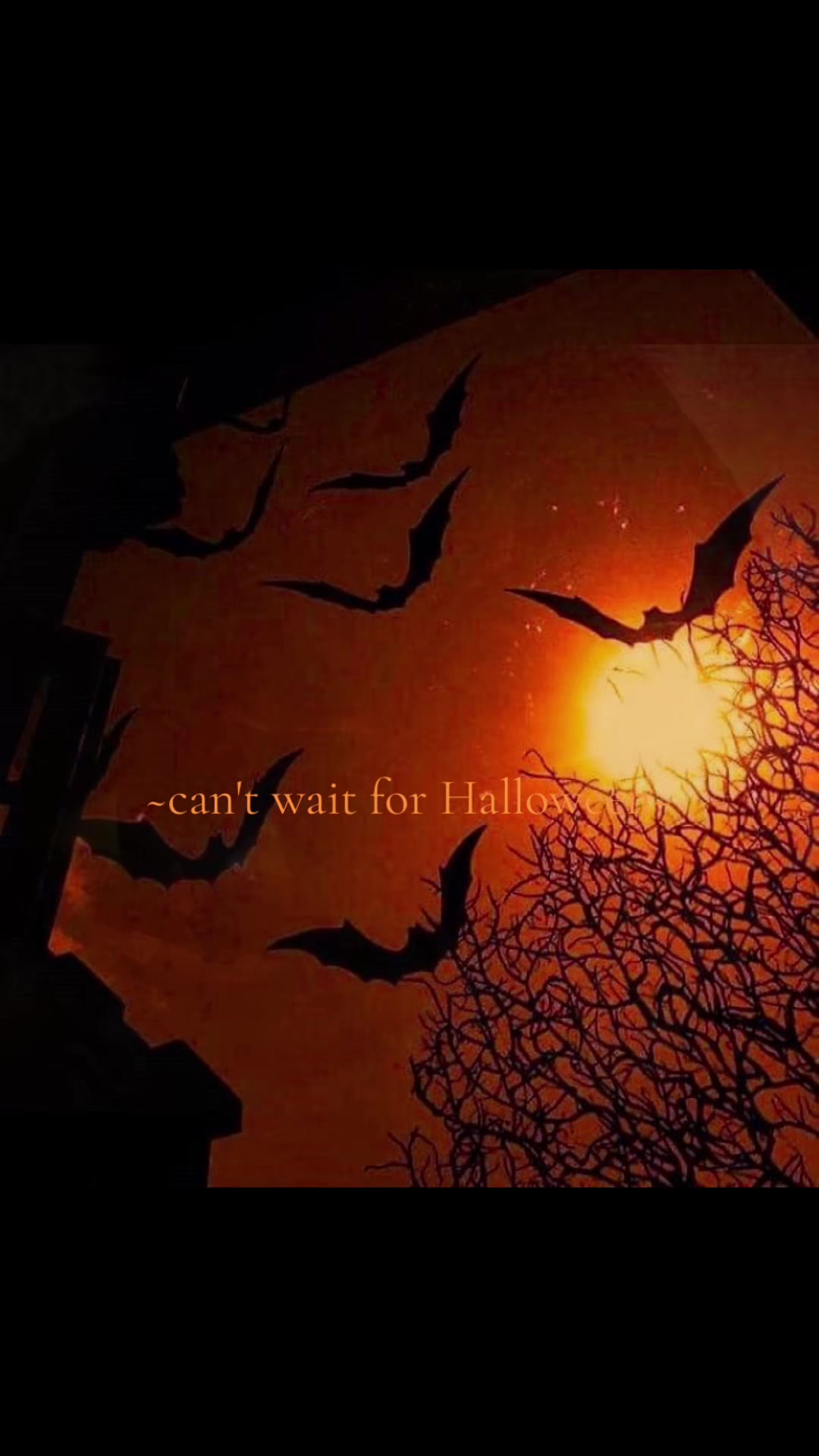 @.🎃ִ ࣪𖤐𝙼𝚊𝚍𝚍𝚒𝚎🎈☥🦇☠︎︎👾