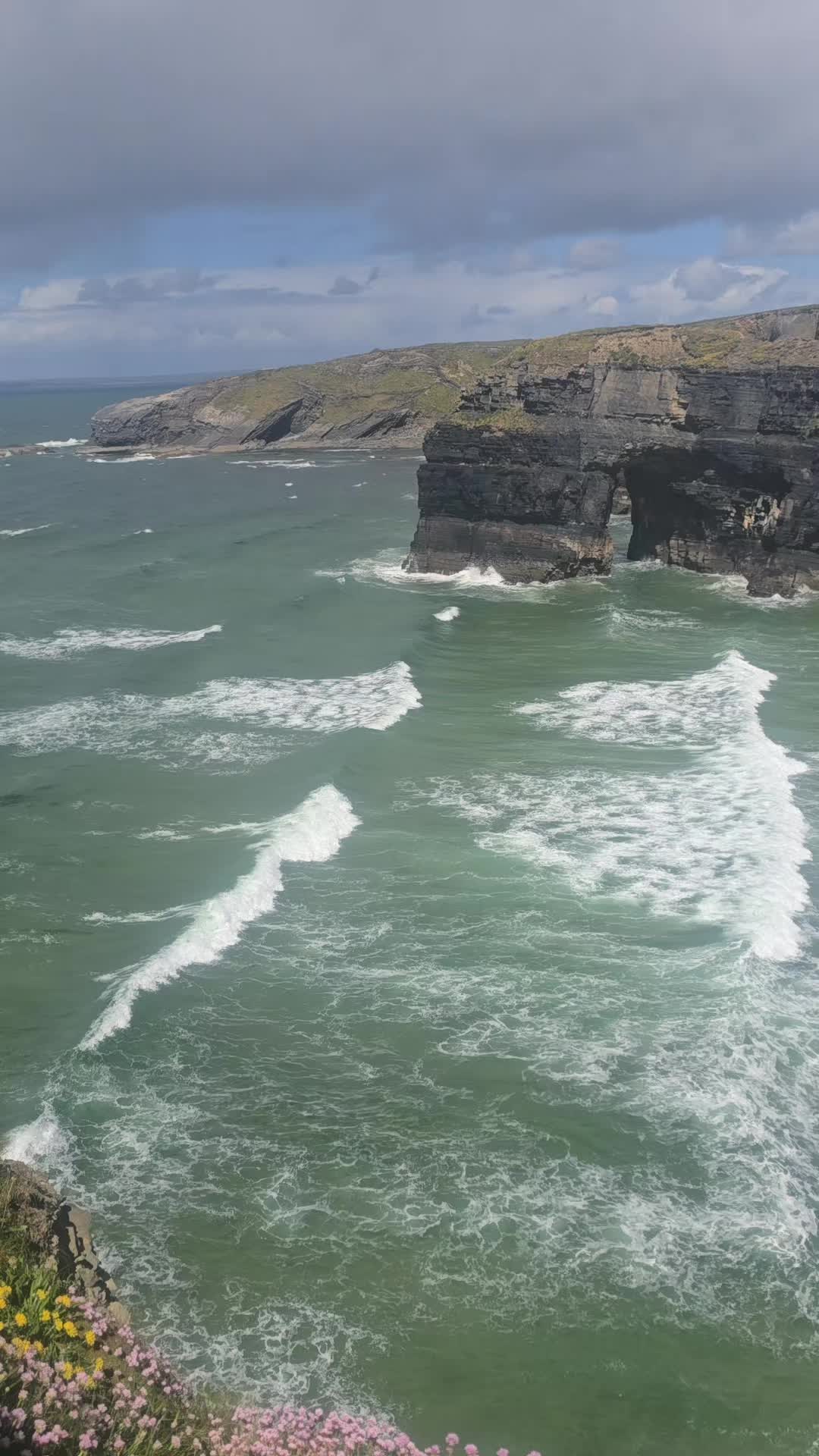 @tom🇮🇪