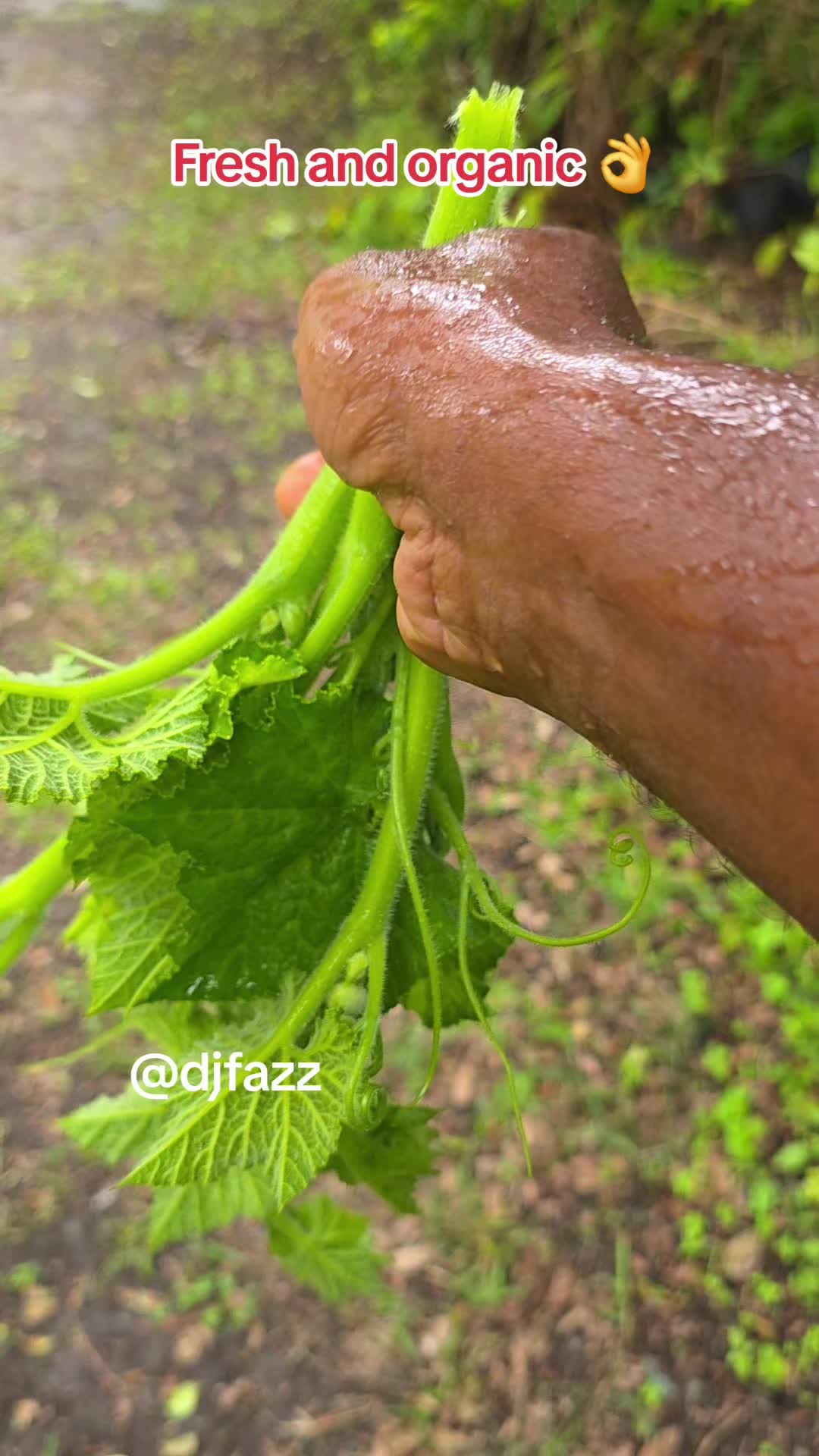 @DJFAZZ 🇳🇬🇦🇺🇫🇮🇬🇲