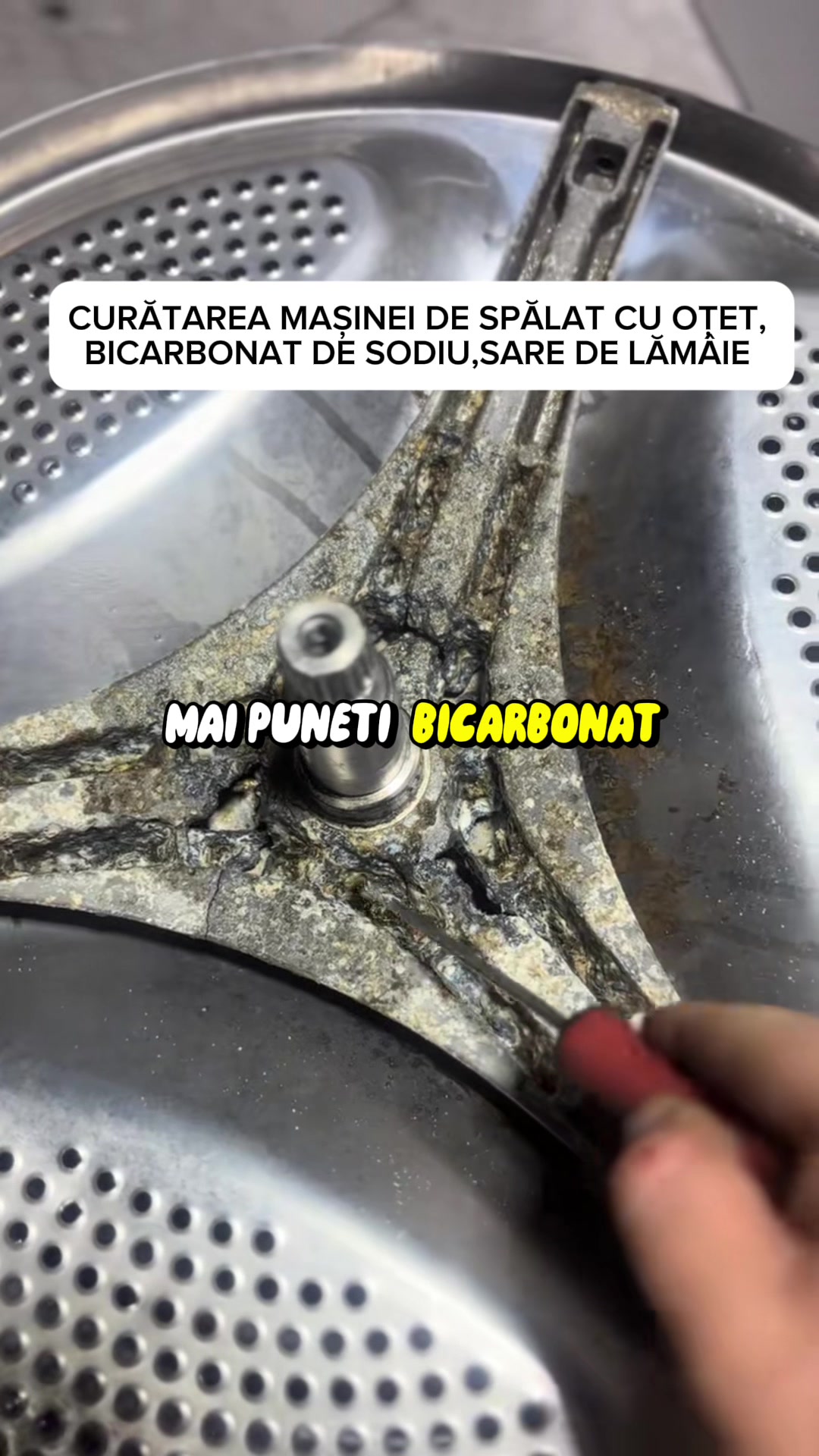 @Freebubbles|Detergentlarobinet