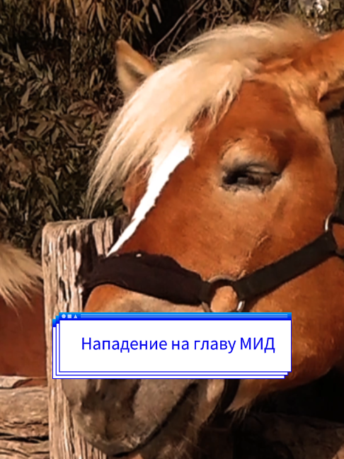@NEXTA