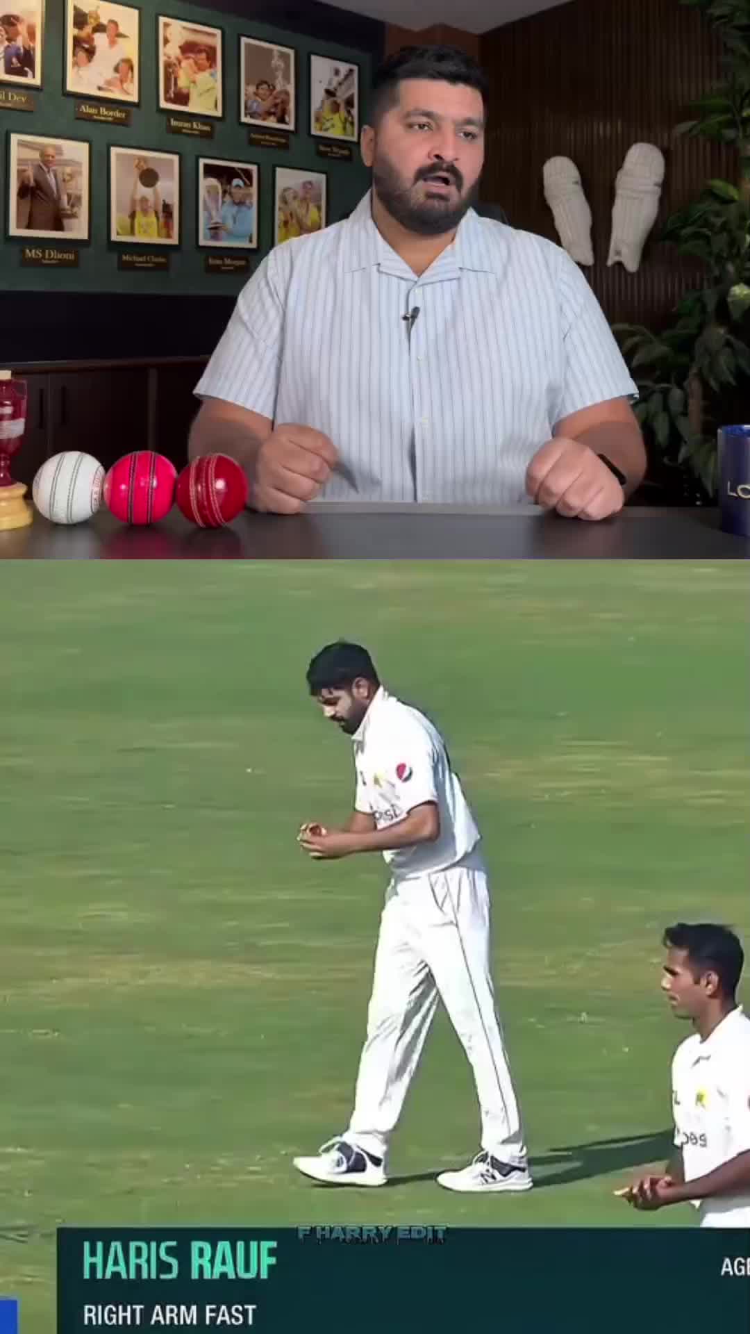 @Cricket Chat GPT