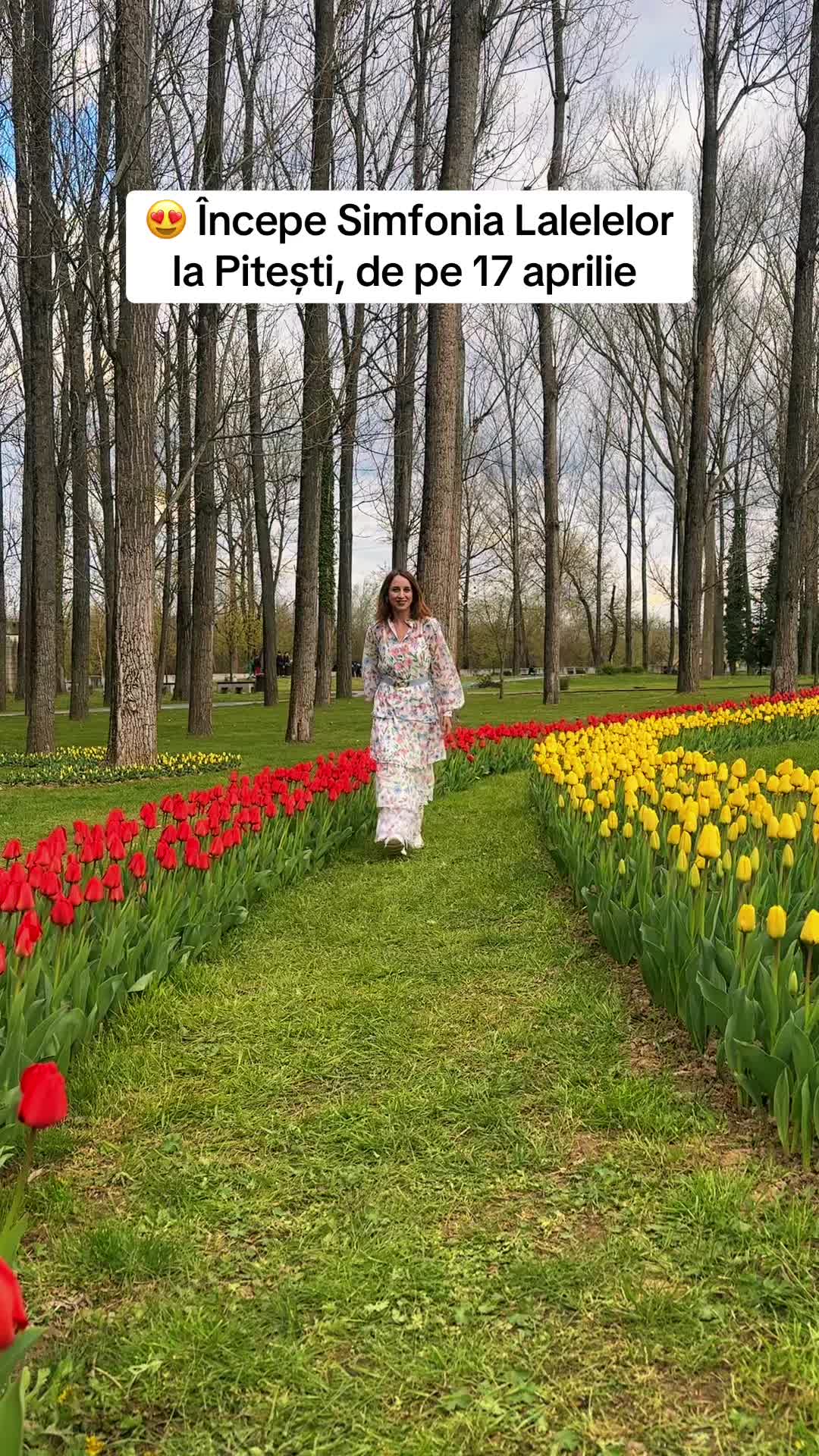 @surorilecalatoare