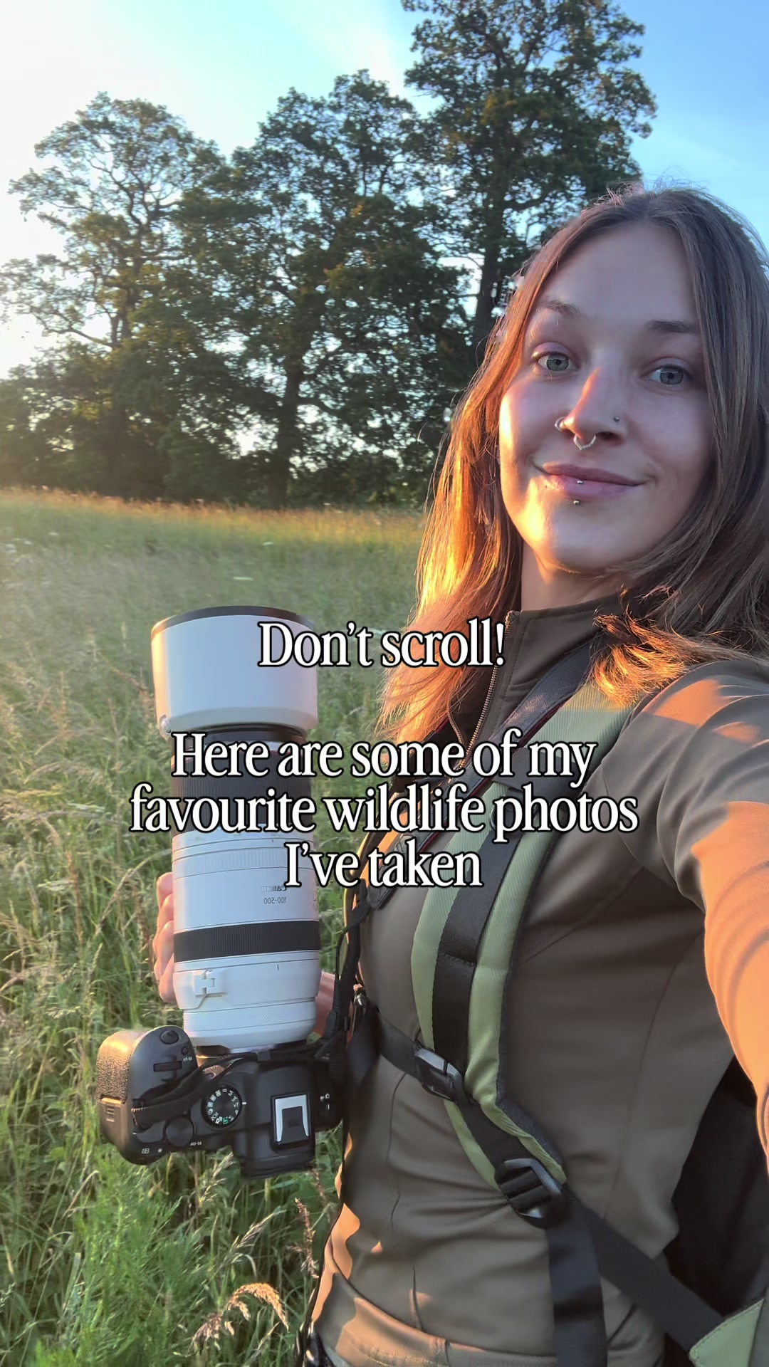 @phiswildlife