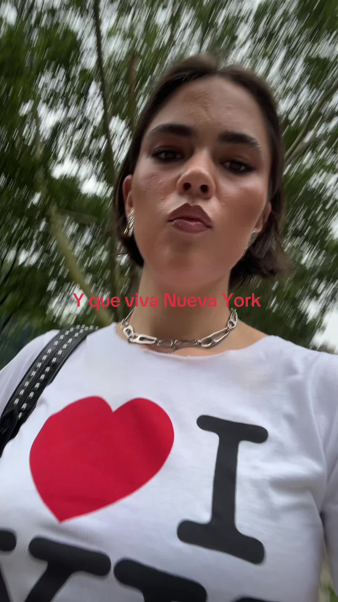 @nesicong