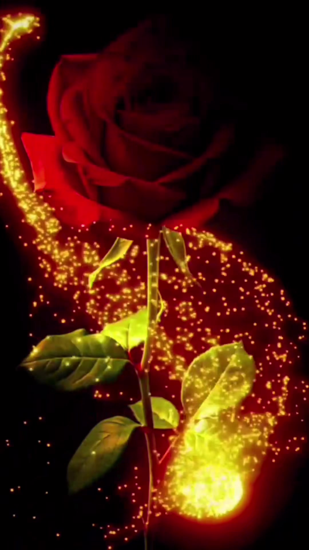 @🌹🌹ROSENKAVALIER 🌹🌹