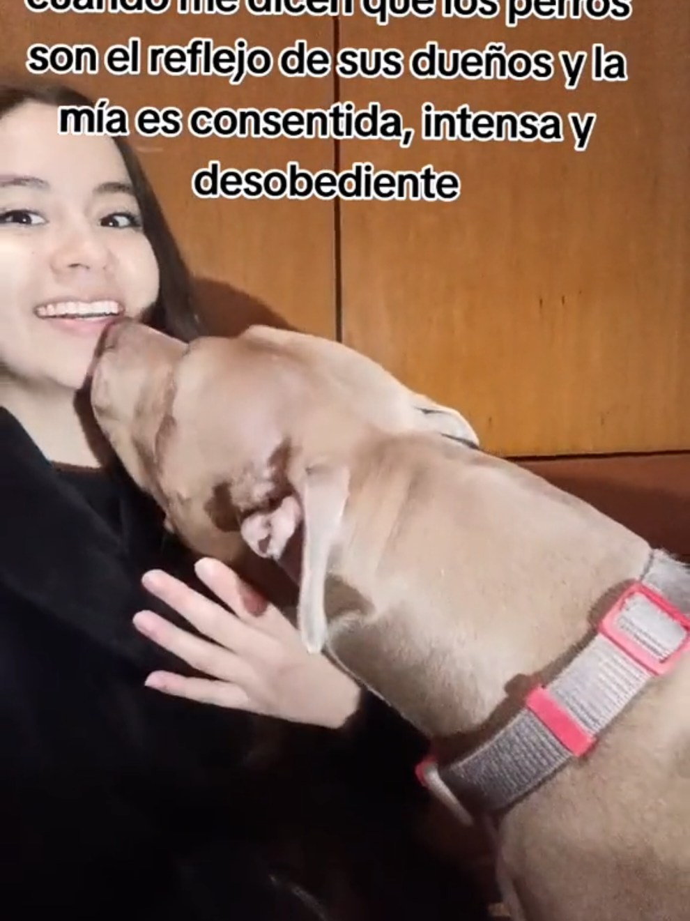 @paulaa 🥸