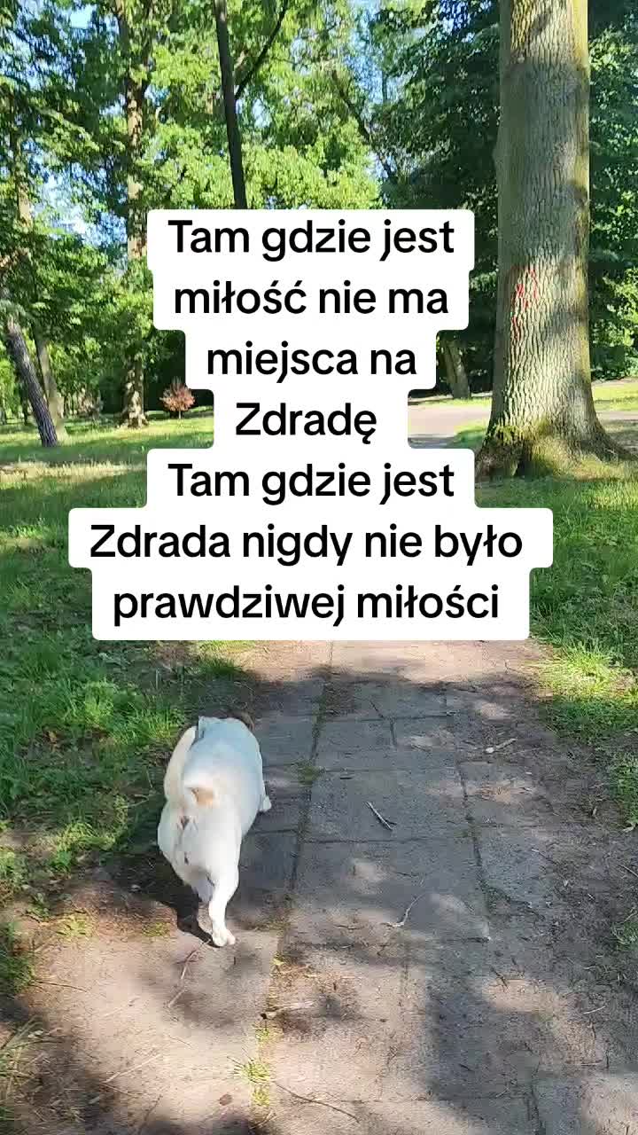 @Ruda Marta  🦊👑