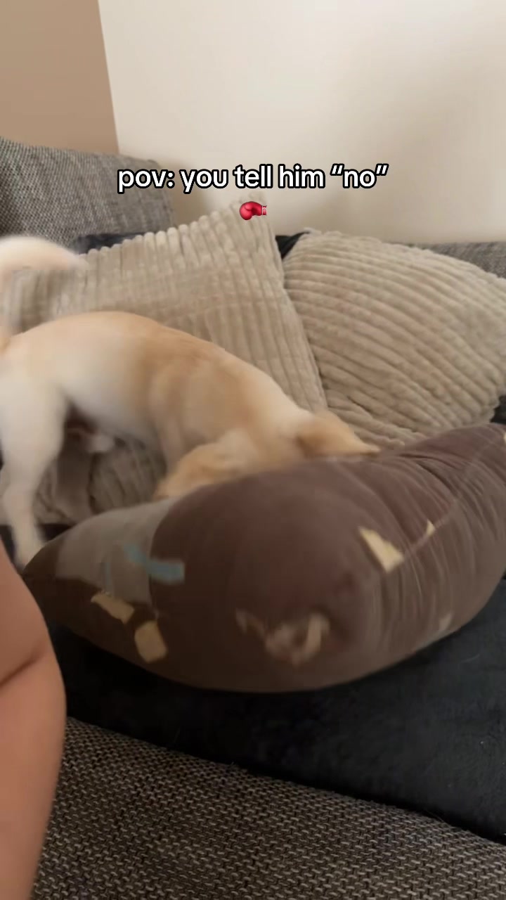 @bobthewenni