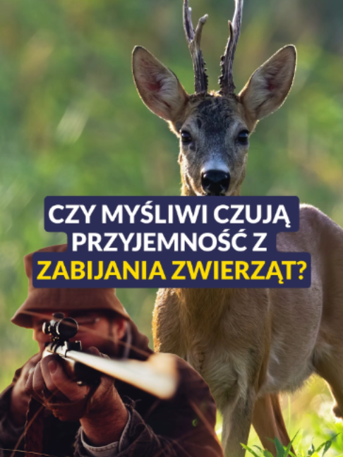 @tvp.info
