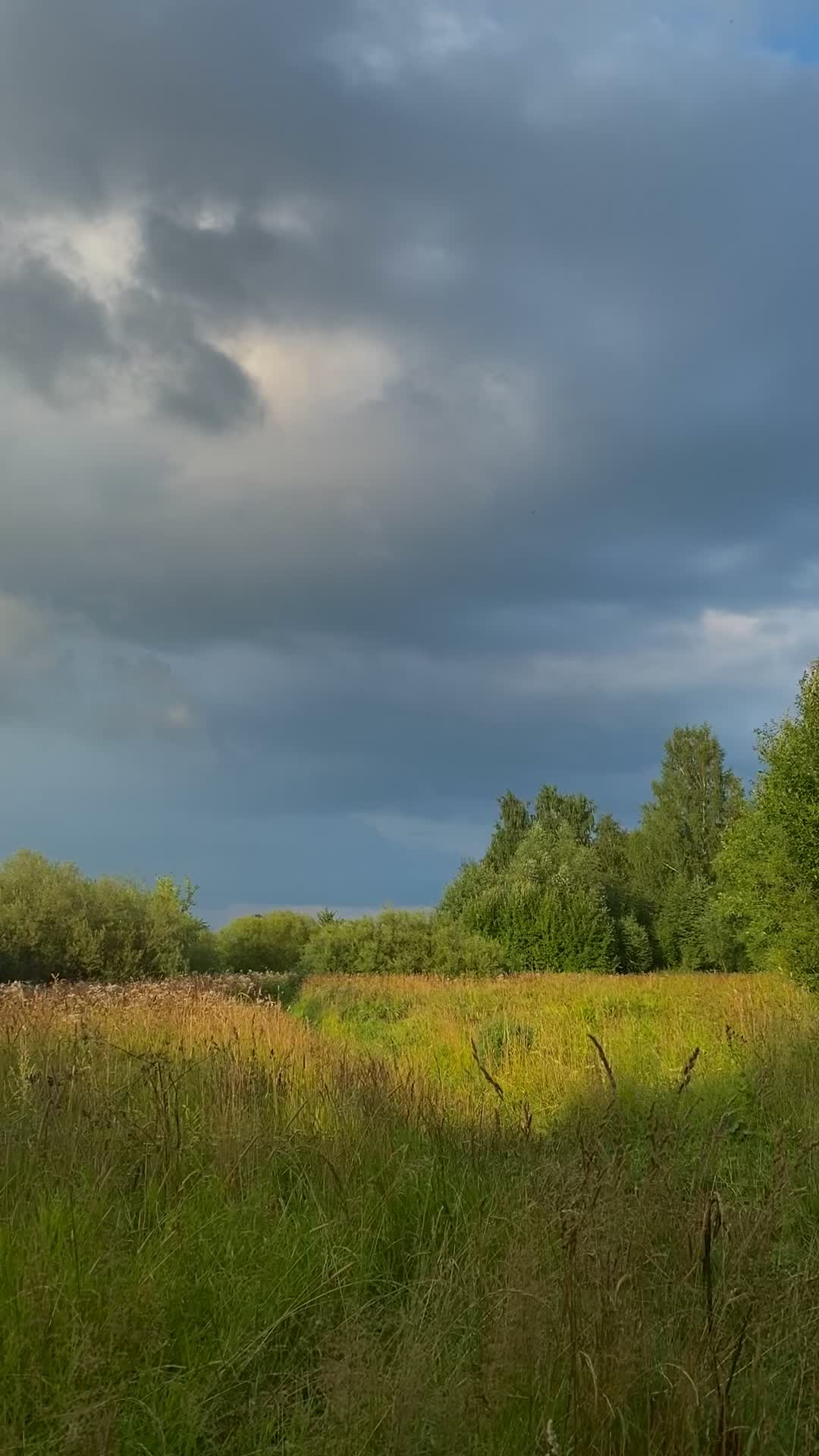 @Виктория