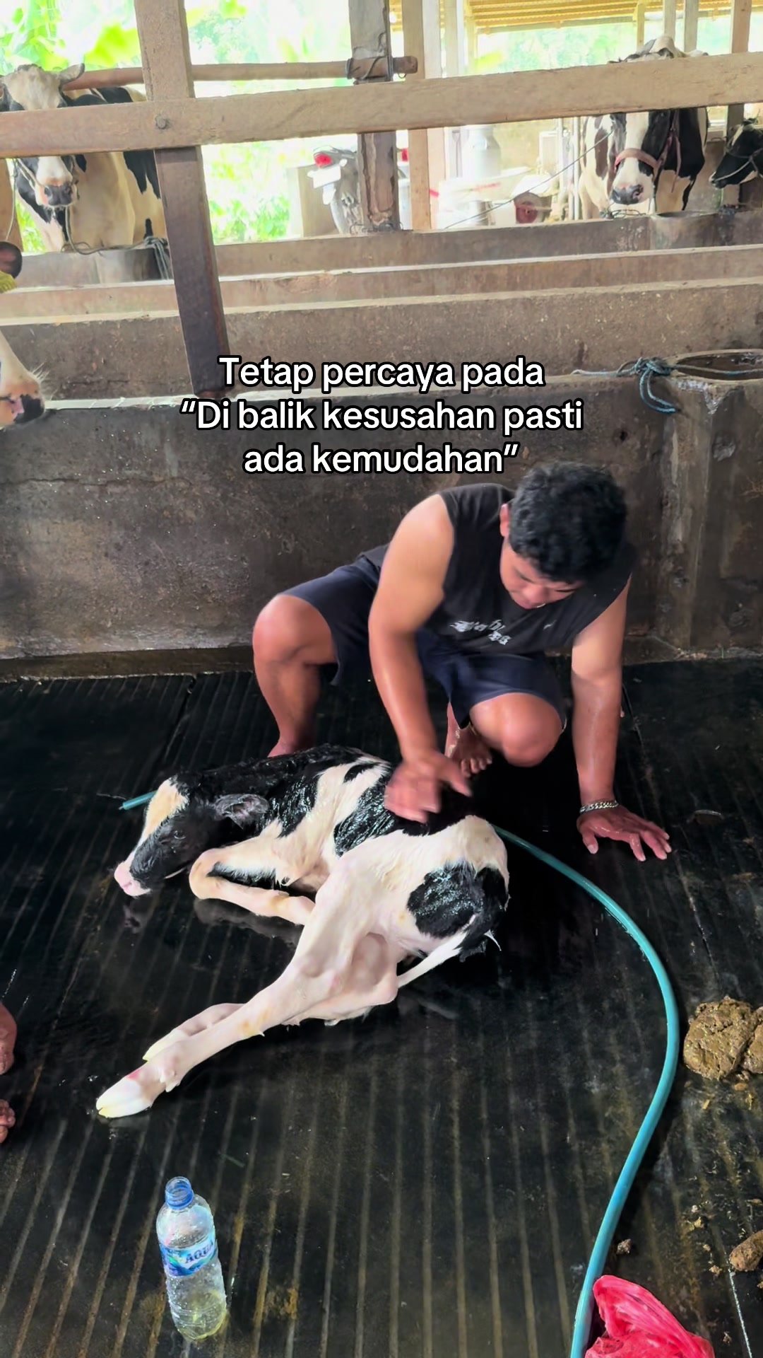 @Bregas Jaya