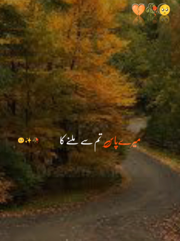 @Muhammad Nadeem