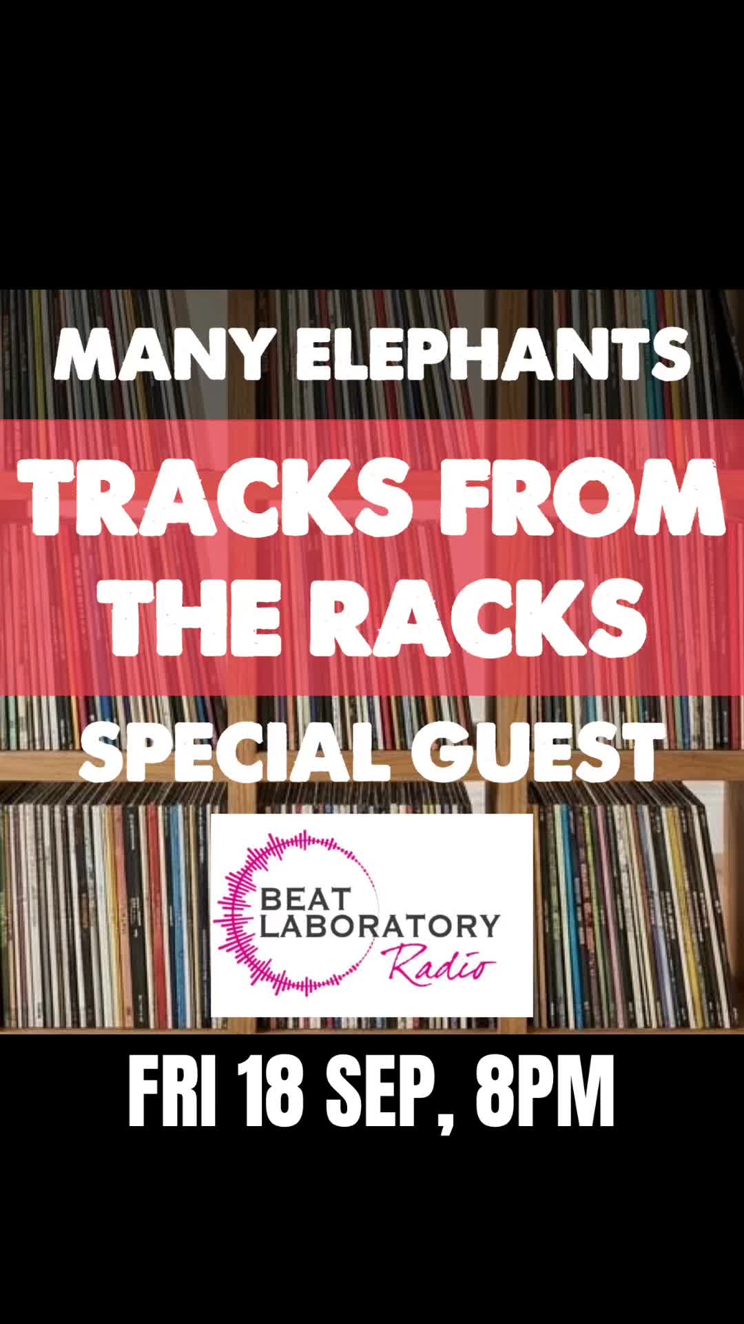 @Many Elephants Music
