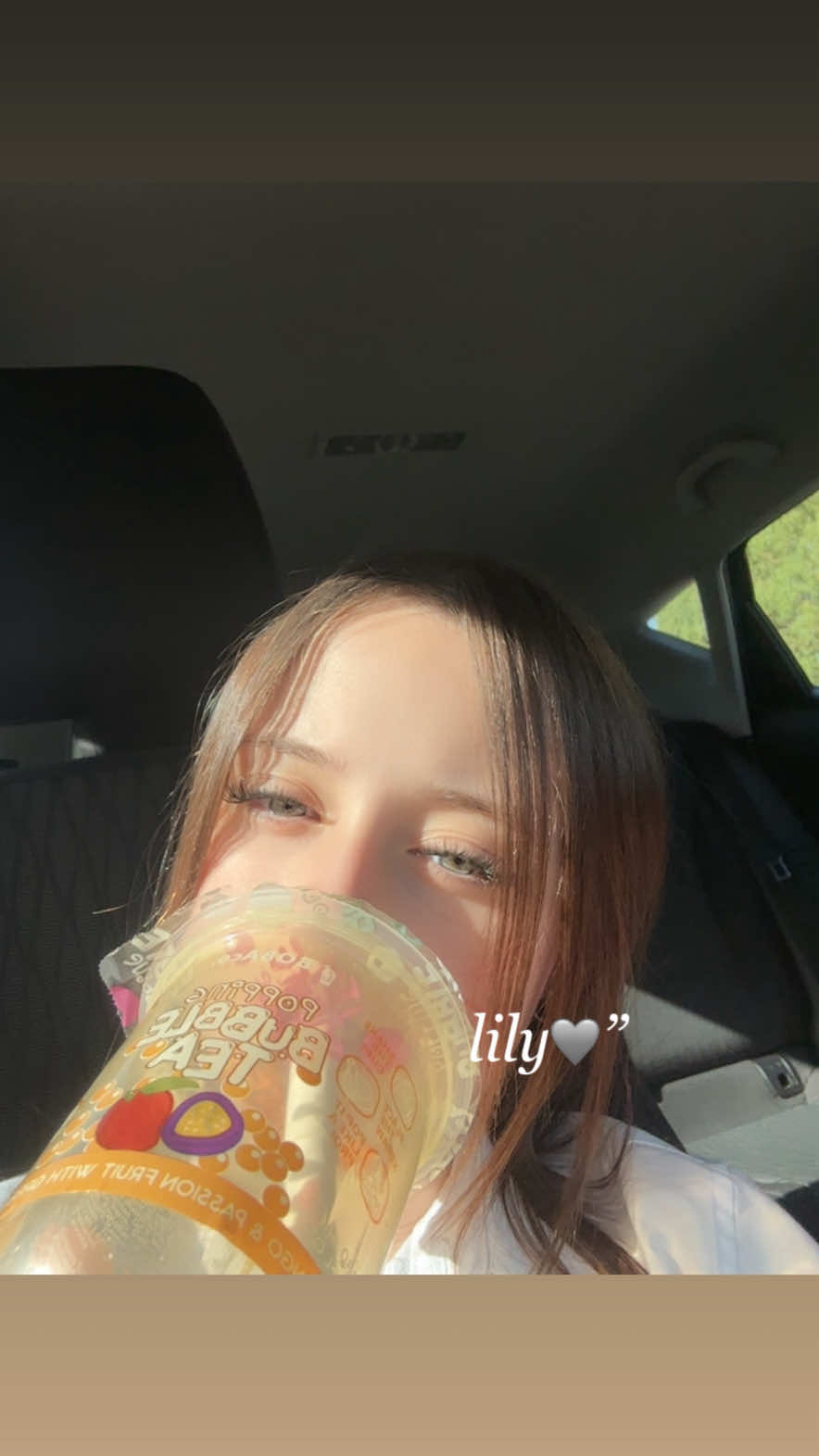 @lilyspam🩶