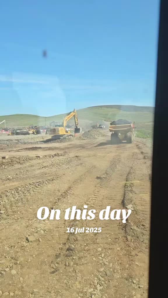 @digger king